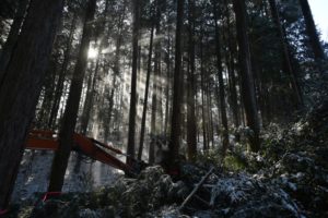 岐阜の石場建て２　木こり会