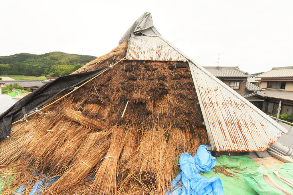 愛知の茅葺き再生10 草屋根 | 水野設計室