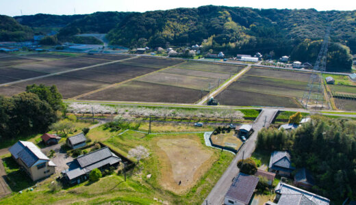【進行中】桜みちの石場建て１