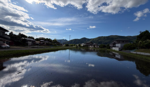 2026　春の風景